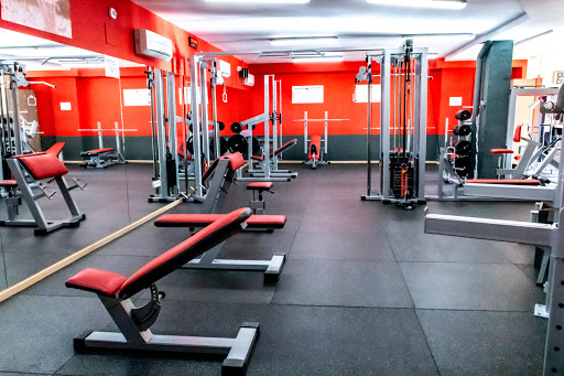 Gimnasio 365 Fitness GYM en Los Santos de la Humosa, Madrid