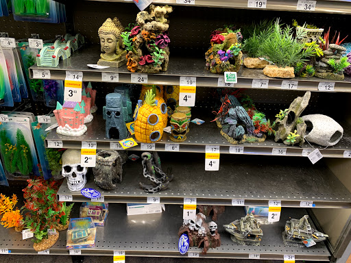 Pet Supply Store «Petco Animal Supplies», reviews and photos, 3452 W Chandler Blvd, Chandler, AZ 85226, USA