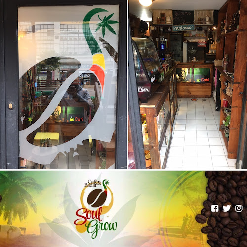 Café & Bazar Soul Grow - Viña del Mar