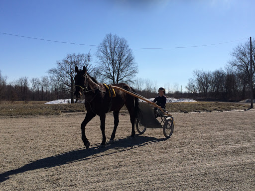 Casino «Hard Rock Rocksino Northfield Park», reviews and photos, 10777 Northfield Rd, Northfield, OH 44067, USA