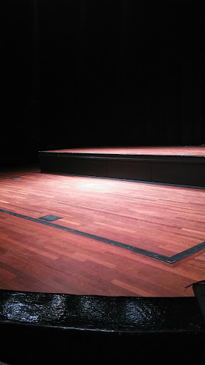 Performing Arts Theater «Grover C. Maxwell Performing Arts Theatre», reviews and photos, 2500 Walton Way, Augusta, GA 30904, USA