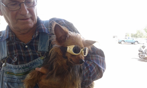 Festival «Kentucky Bike Rally (formerly called Little Sturgis)», reviews and photos, 1221 N Main St, Sturgis, KY 42459, USA