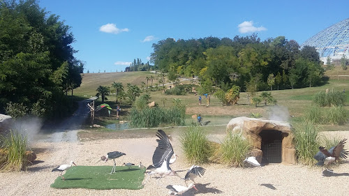 attractions Les Maîtres des Airs Saint-Aignan