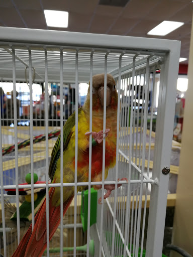 Pet Supply Store «Pet Supermarket», reviews and photos, 2585 N Atlantic Ave, Daytona Beach, FL 32118, USA