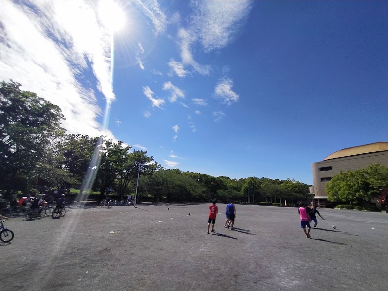 等々力緑地催し物広場 神奈川県川崎市中原区等々力 公園 公園 グルコミ