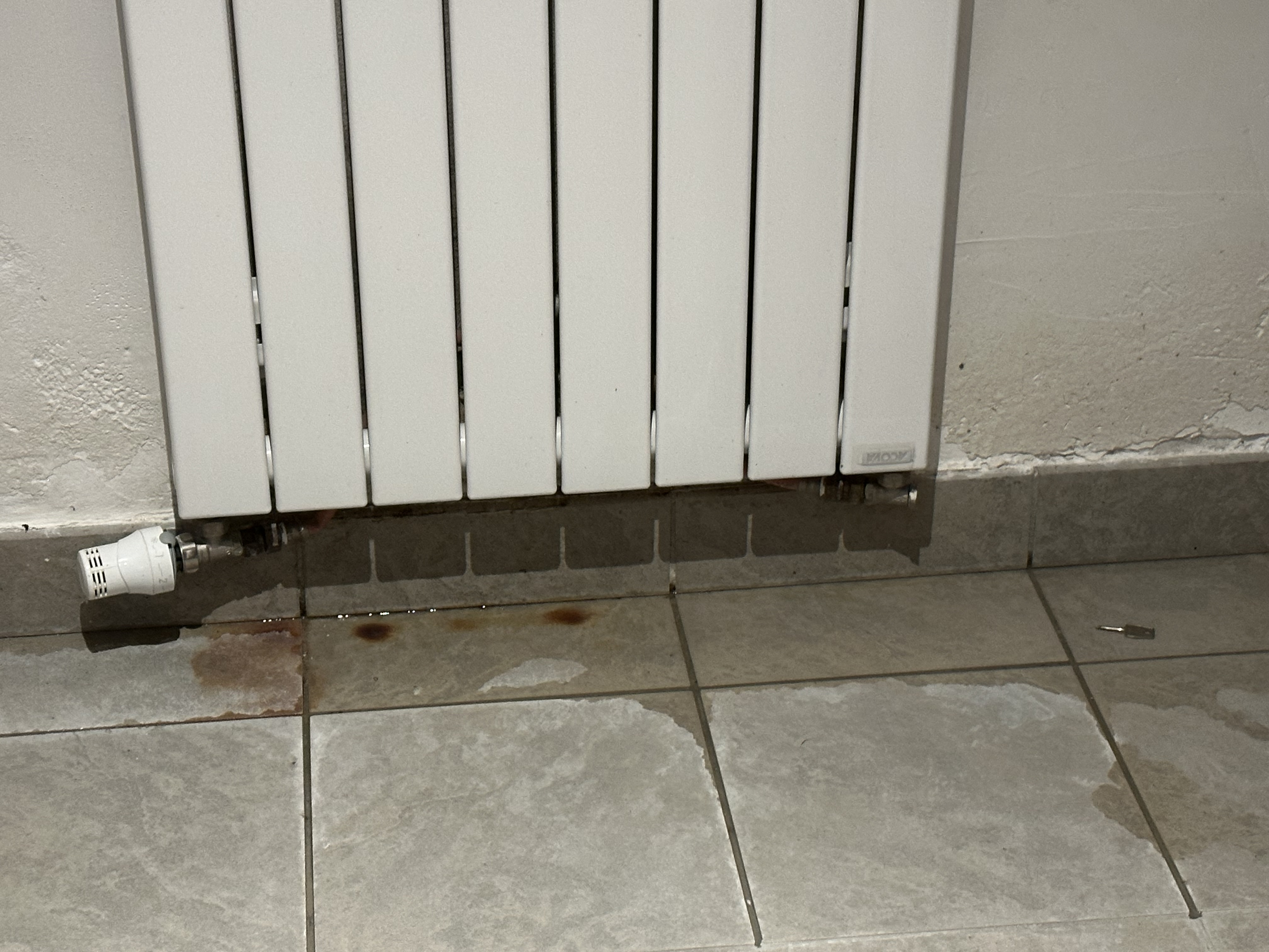 Photo n° 4 de l'avis de Romain.a fait le 14/01/2023 à 20:47