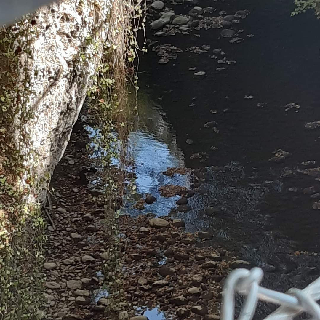 Photo n° 29 de l'avis de Anne.i fait le 13/08/2022 à 16:33