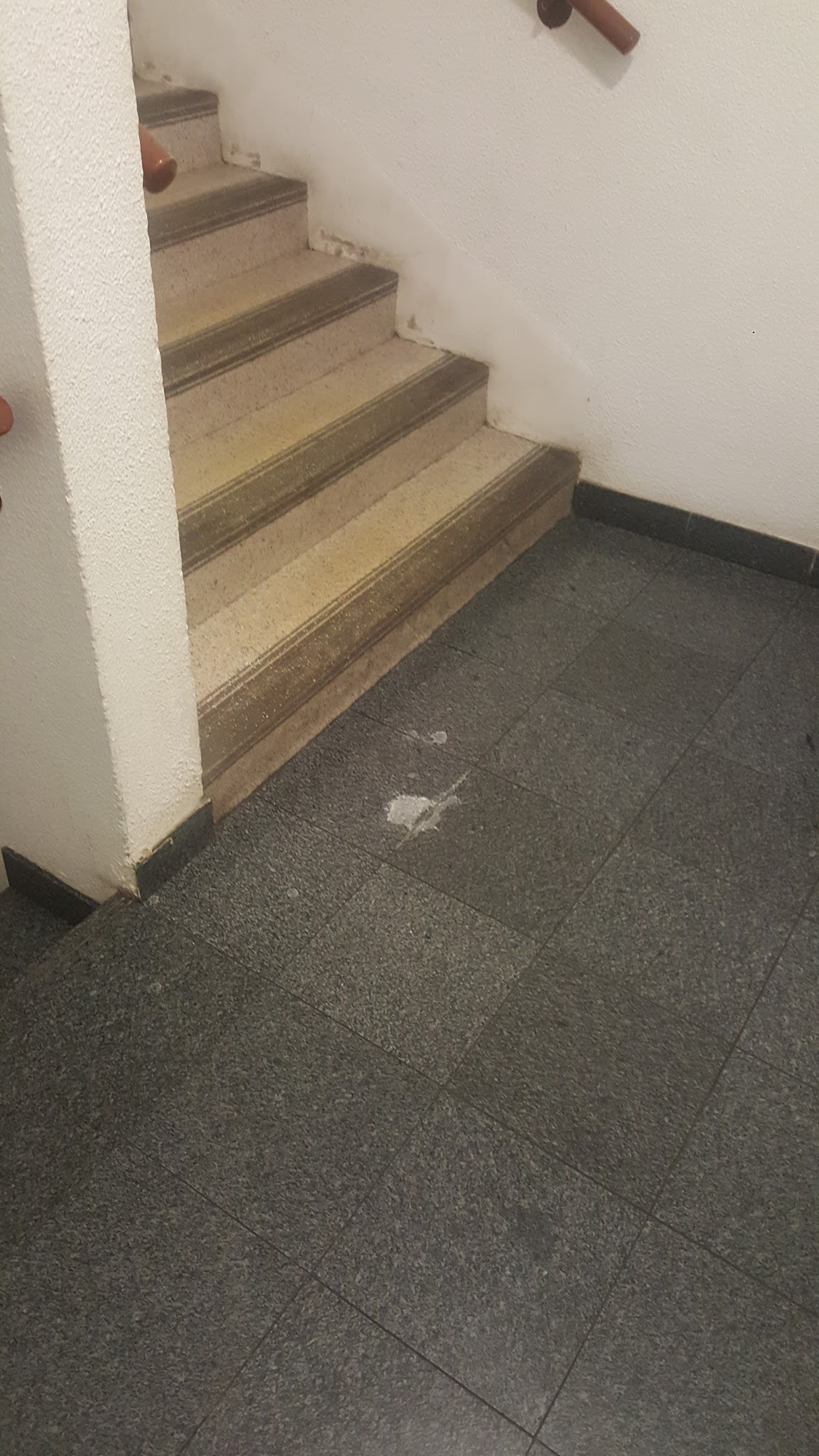 Photo n° 1 de l'avis de L'.l fait le 02/03/2018 à 00:28