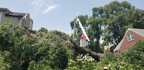 Hurricane Tree Service
