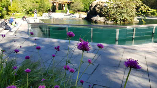 Zoo «Central Park Zoo», reviews and photos, E 64th St & 5th Ave, New York, NY 10021, USA