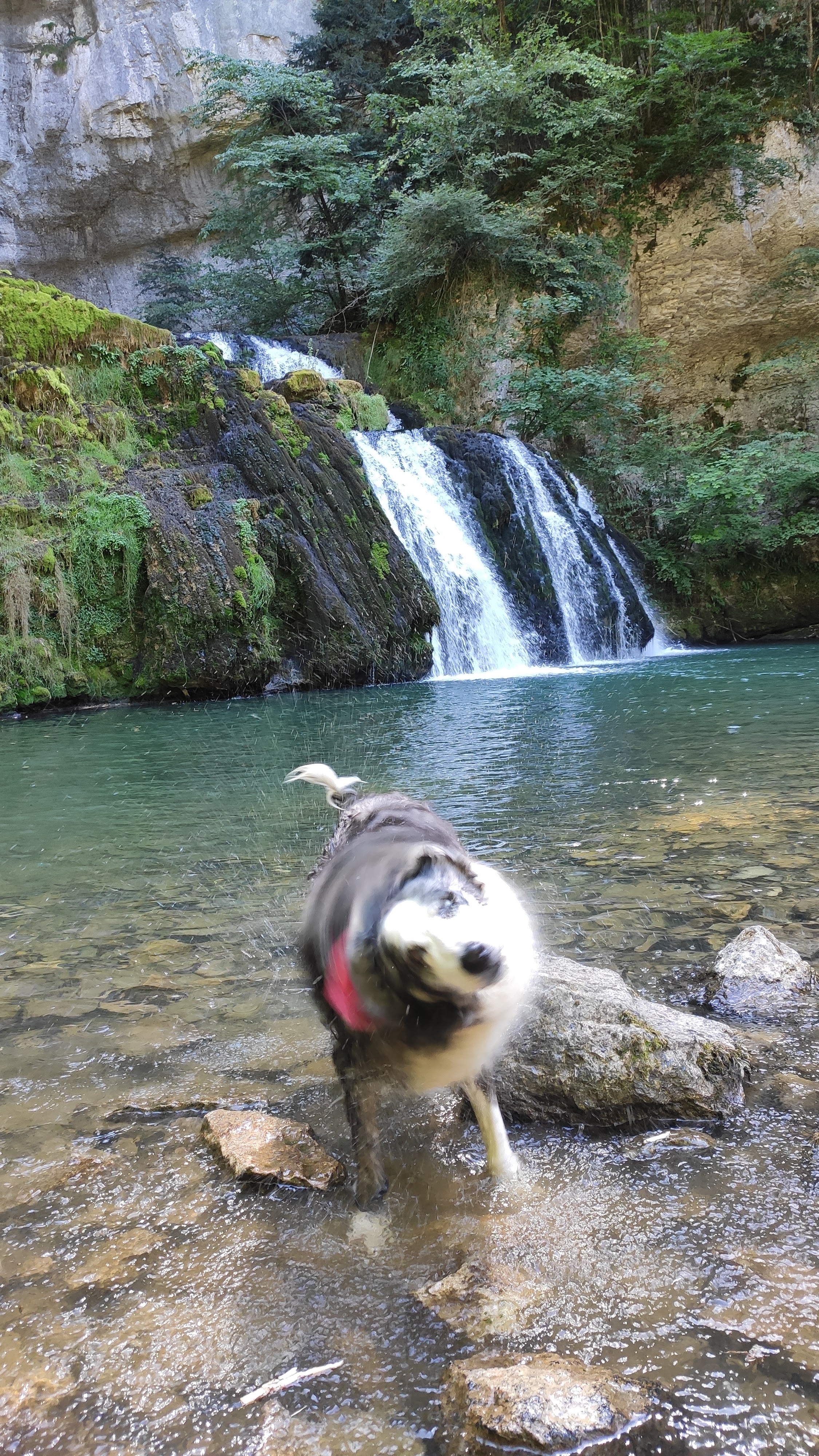 Photo n° 6 de l'avis de Valérie.a fait le 16/07/2022 à 18:31