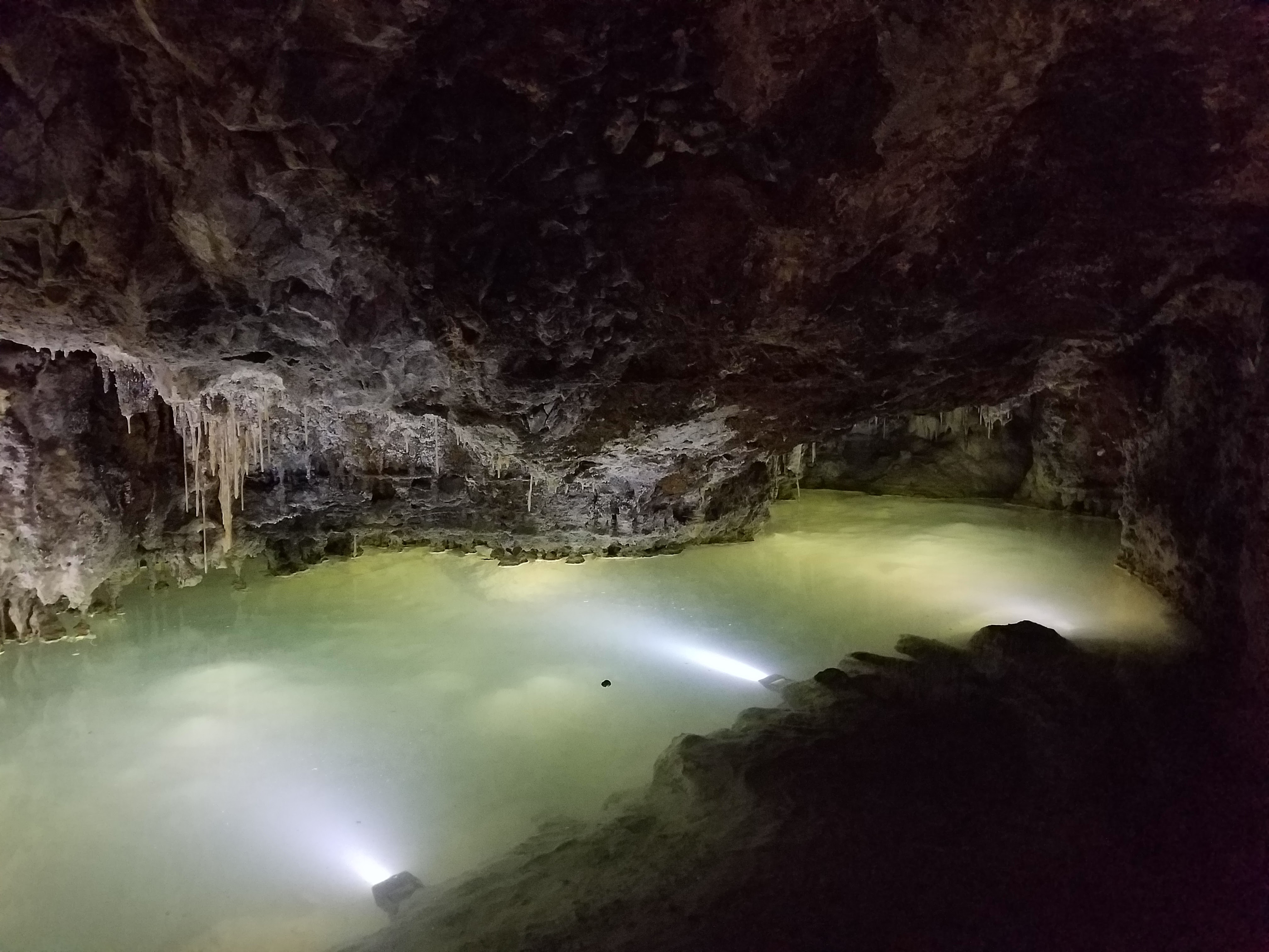 Photo n° 2 de l'avis de Xav'. fait le 22/07/2020 à 16:33