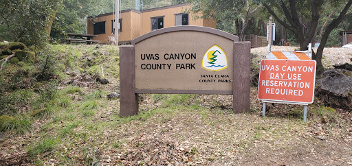 Uvas Canyon County Park image