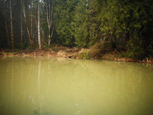 Forestry Service «Hopkins Demonstration Forest», reviews and photos, 16750 S Brockway Rd, Oregon City, OR 97045, USA