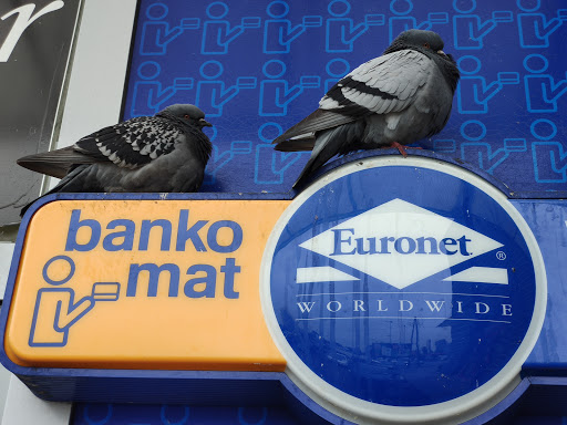 Parrot stores Warsaw