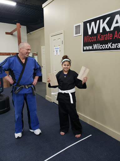 Wilcox Karate Academy