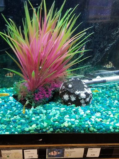 Garden Center «A W Brown Pet & Garden», reviews and photos, 144 Shaker Rd, East Longmeadow, MA 01028, USA