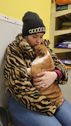 Pet Store «Yuppy Puppy Pet Shop», reviews and photos, 292 Frantz Rd, Stroudsburg, PA 18360, USA