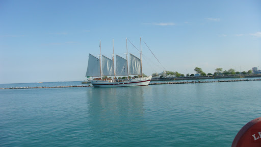 Observation Deck «Skydeck Chicago», reviews and photos, 233 S Wacker Dr, Chicago, IL 60606, USA