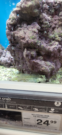 Pet Supply Store «Petco Animal Supplies», reviews and photos, 2310 S Shore Center, Alameda, CA 94501, USA