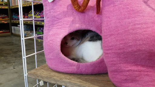 Pet Store «Next to Nature», reviews and photos, 4543 California Ave SW, Seattle, WA 98116, USA