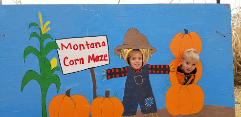 Montana Corn Maze