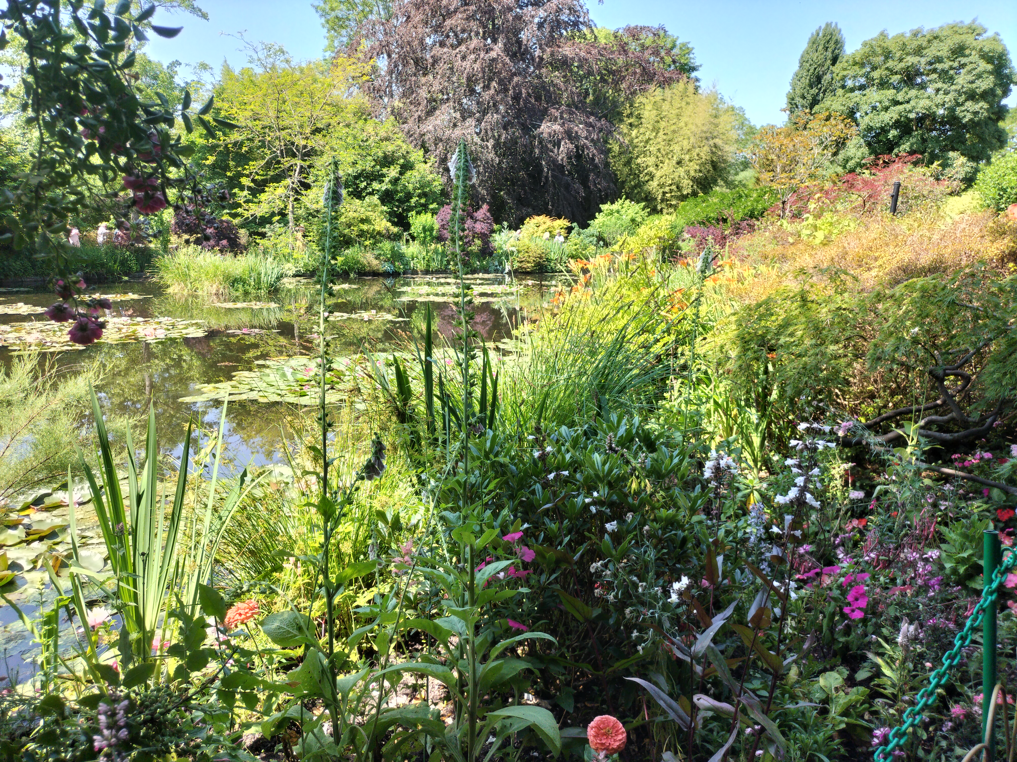 Photo n° 46 de l'avis de didier.e fait le 15/06/2023 à 13:38