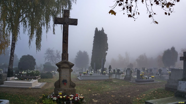 Értékelések erről a helyről: Fehértói temetői kereszt, Jászberény - Múzeum