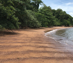 Fossil Shell Beach Krabi (Susan Hoi) photo