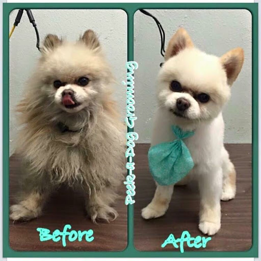 Pet Store «Peek-A-Dog Pet Grooming Adoptions», reviews and photos, 8452 State St, Lynwood, CA 90262, USA