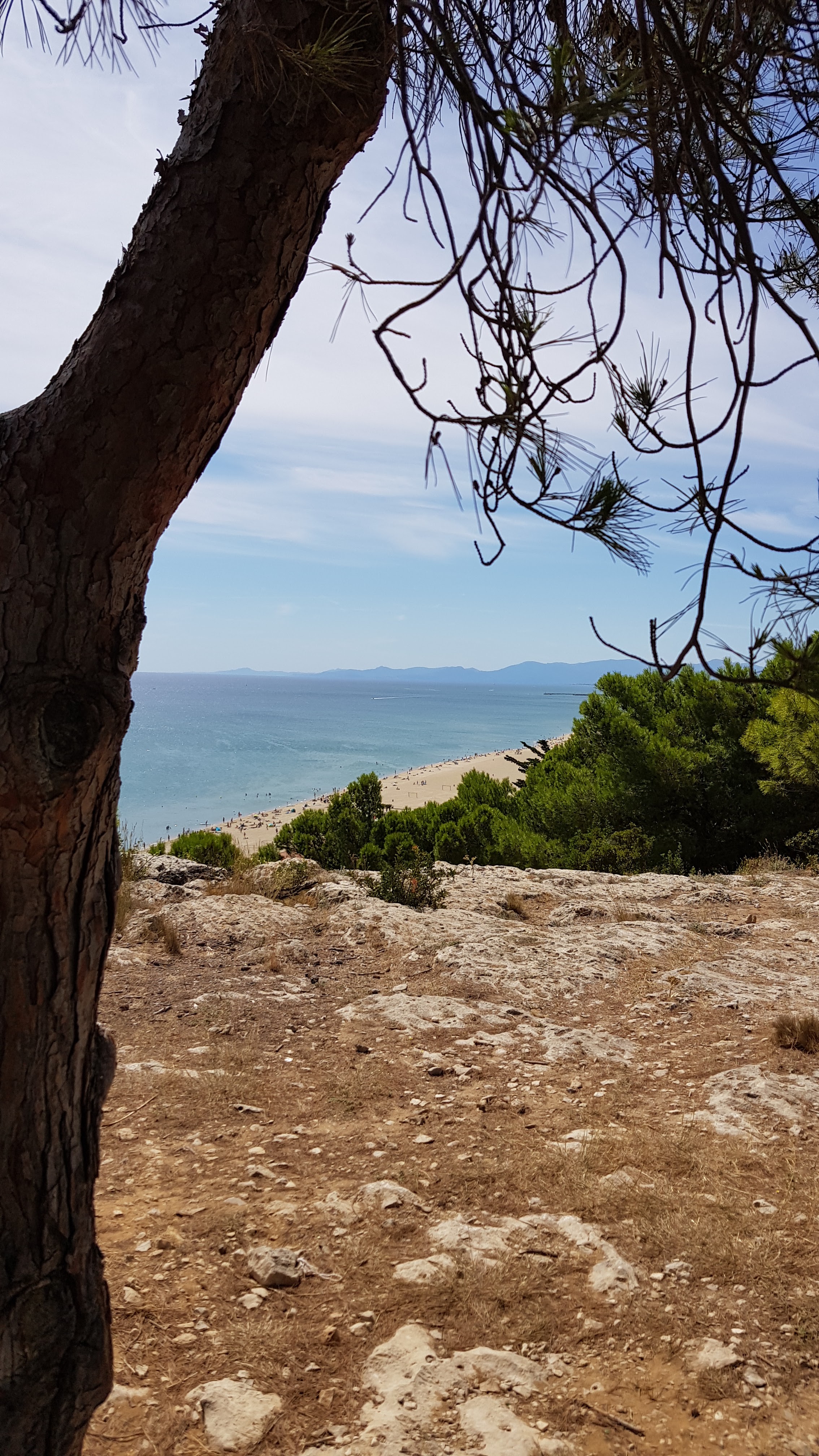 Photo n° 5 de l'avis de Rudy.O fait le 21/08/2019 à 12:03