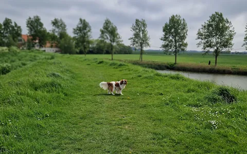 Hondenloopweide Schorrepark image