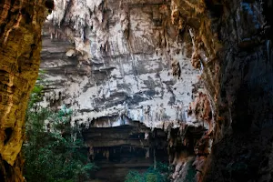 Parque Nacional Cavernas do Peruaçu image