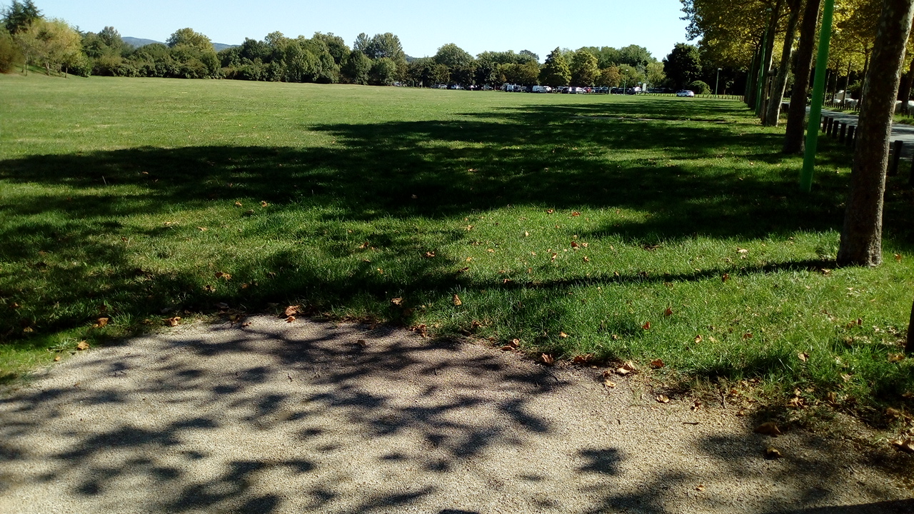 Photo n° 43 de l'avis de Delbart.e fait le 29/09/2019 à 12:17