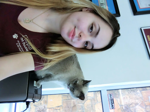 Pet Store «Debbies Pet Boutique», reviews and photos, 431 Center St, Healdsburg, CA 95448, USA