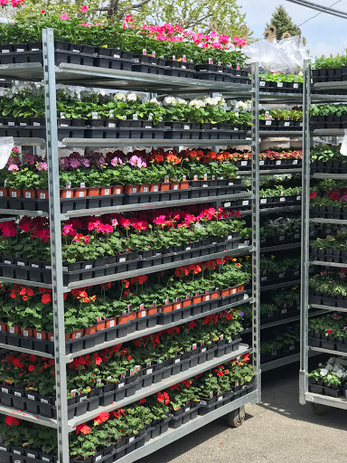 Hardware Store «Norridge Ace Hardware Home Center», reviews and photos, 8330 W Lawrence Ave, Norridge, IL 60706, USA