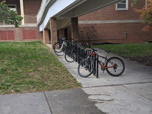 University «Radford University», reviews and photos