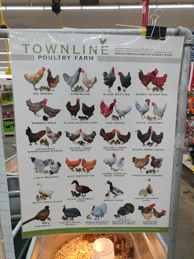 Department Store «Rural King», reviews and photos, 2401 E Wabash St, Frankfort, IN 46041, USA