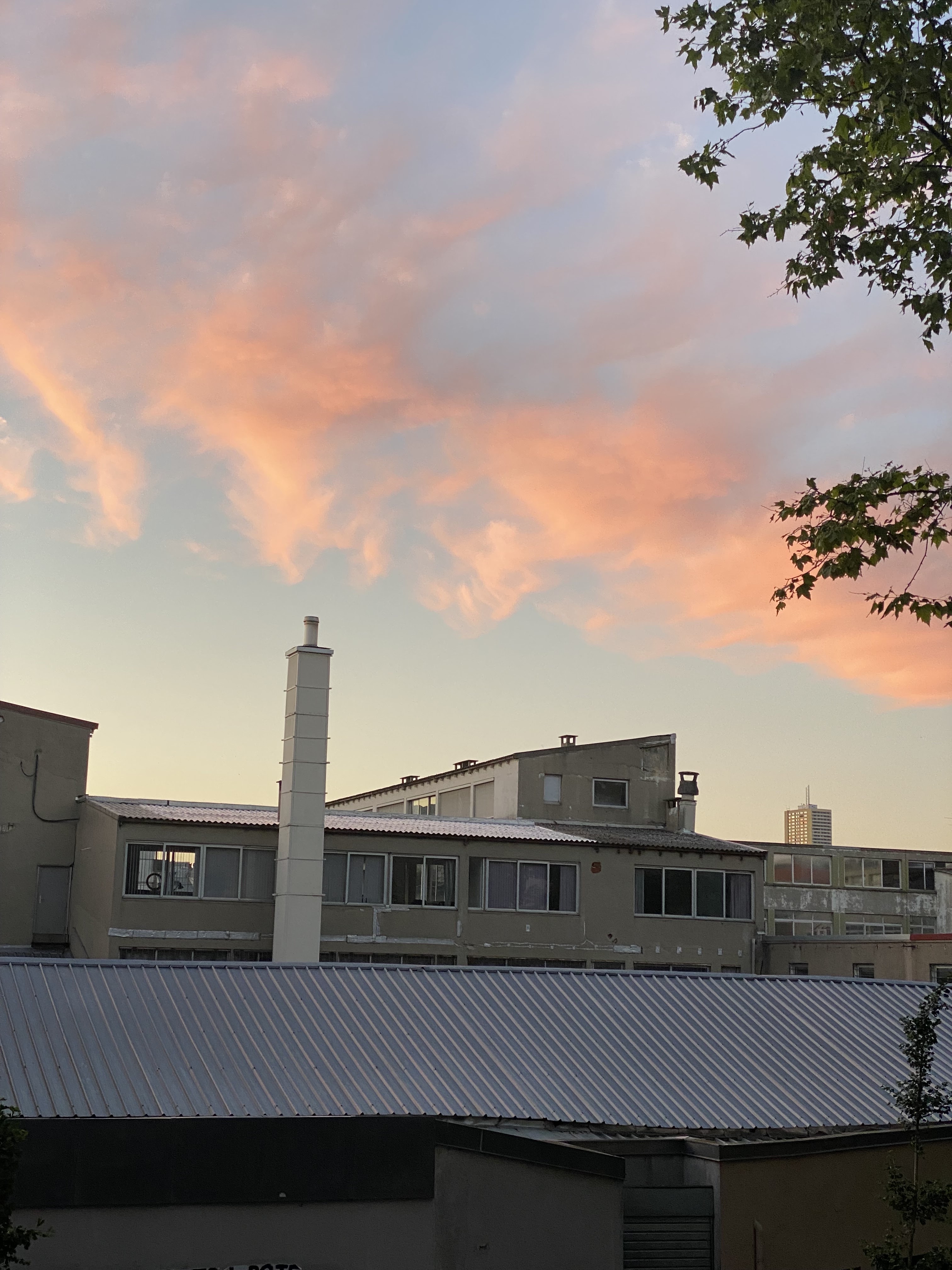 Photo n° 1 de l'avis de Noé.e fait le 19/07/2022 à 20:02