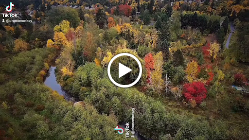 Nature Preserve «Foster Floodplain Natural Area», reviews and photos, 10602 SE Foster Rd, Portland, OR 97266, USA