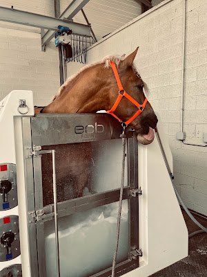 Equin'o Care à Marlenheim