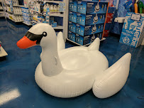 Leslie's - Photo 2 - Car repair in Davie, FL, Pembroke Pines