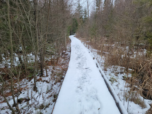 Nature Preserve «Teichner Preserve: The Leelanau Conservancy», reviews and photos, 5234 S Lime Lake Rd, Cedar, MI 49621, USA