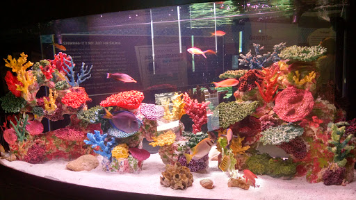Aquarium «Mote Marine Laboratory & Aquarium», reviews and photos, 1600 Ken Thompson Pkwy, Sarasota, FL 34236, USA