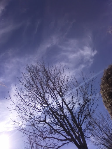 Park «Shedd Park», reviews and photos, 453 Rogers St, Lowell, MA 01852, USA