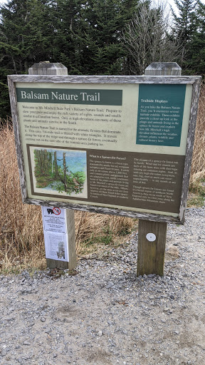 Balsam Nature Trail