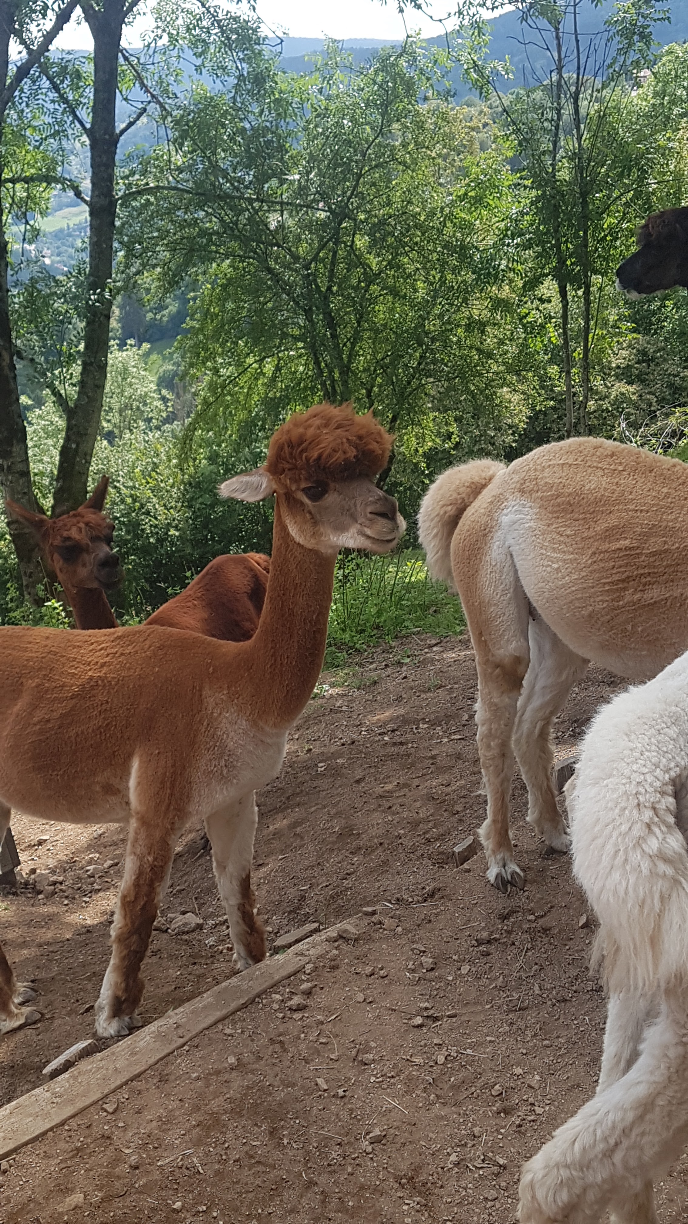 Photo n° 4 de l'avis de melanie_et.c fait le 13/08/2019 à 14:59