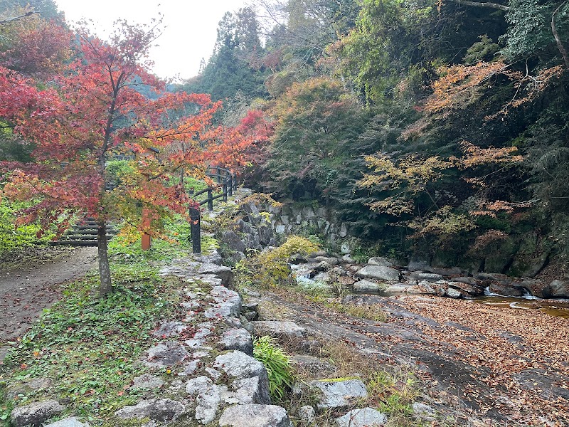 水呑の水