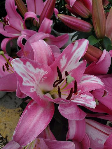 Home Improvement Store «The Home Depot», reviews and photos, 1330 N 21st St, Newark, OH 43055, USA