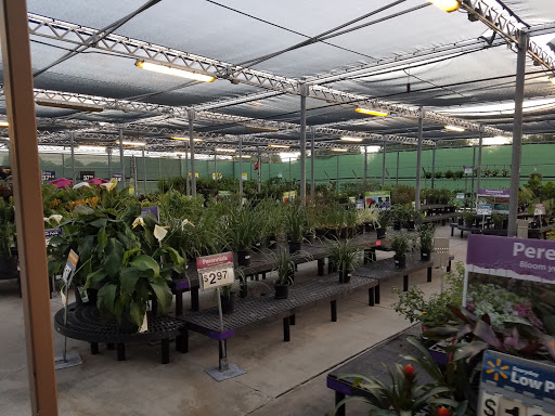 Department Store «Walmart Supercenter», reviews and photos, 17030 U.S. 441, Mt Dora, FL 32757, USA